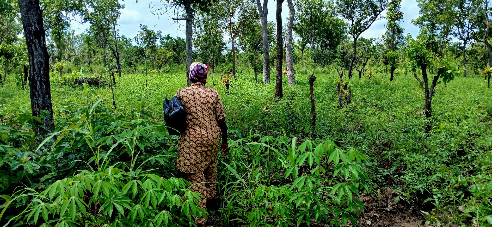GetCare team and community participants in the Wassa landscape